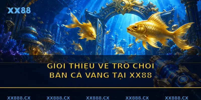 Hướng dẫn chi tiết